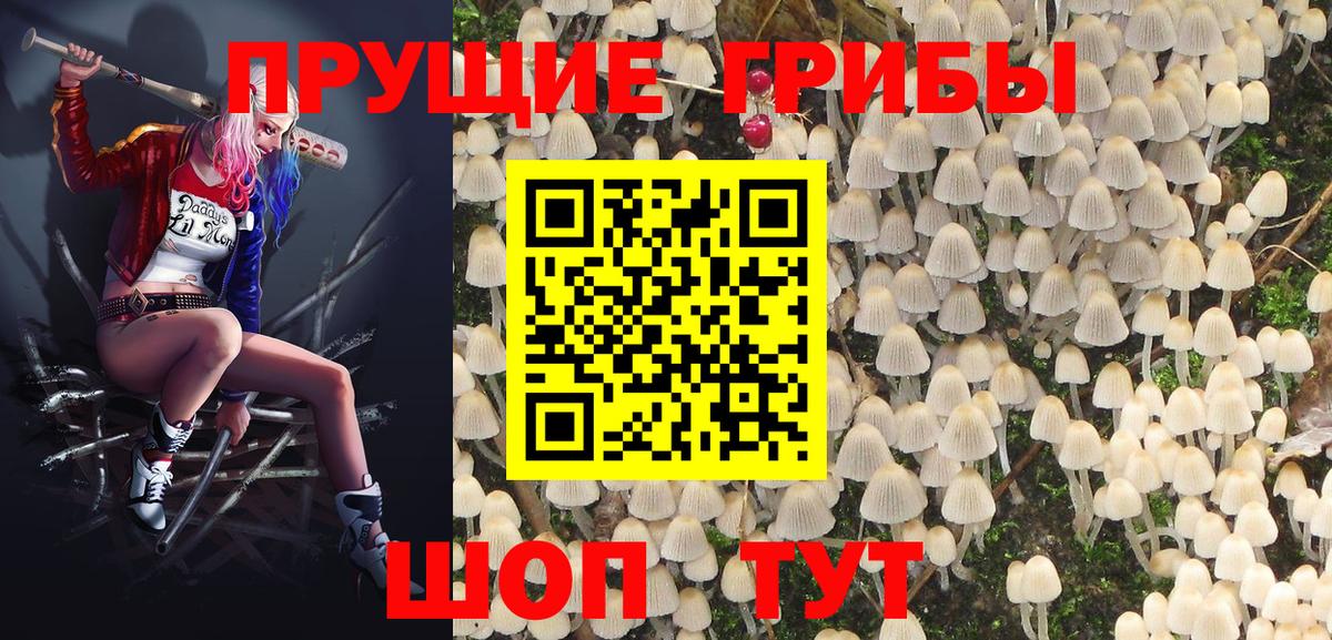 Псилоцибиновые грибы мицелий  Галлюциногенные грибы MAGIC MUSHROOMS  Вход с VPN  Похвистнево 